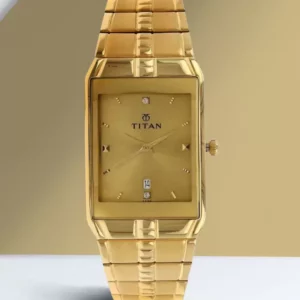 Titan Golden Dial Golden Metal Strap Analog Watch For Men